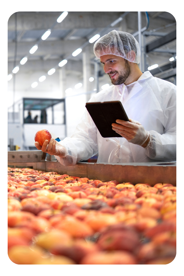Food Safety Solution